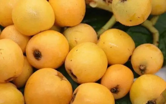 明日春分，再忙也别忘吃“3菜3果3芽”，应季而食，助你安然度春