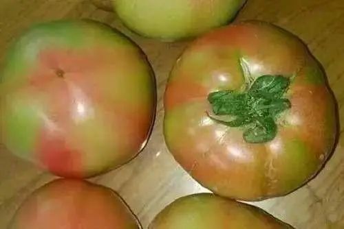 多次苦劝：春天要少吃7种蔬菜，可能多数人不了解