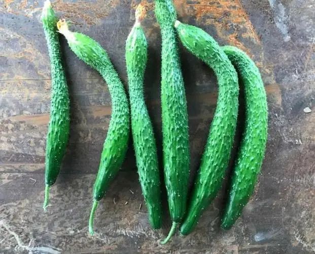 多次苦劝：春天要少吃7种蔬菜，可能多数人不了解
