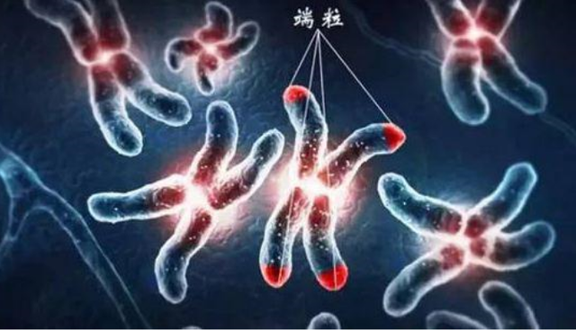 退休医生坦言：寿命长不是靠多走路和多睡觉，而是坚持这2件小事