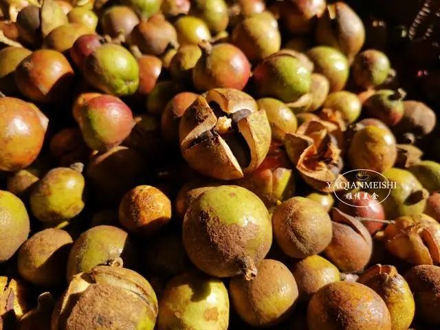 茶籽油、橄榄油、花生油、菜籽油、大豆油、葵花籽油哪种更好？