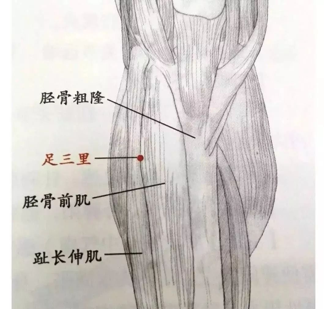 “天然他汀”找到了，不是大蒜，若你爱吃，或能让血脂“稳稳降”