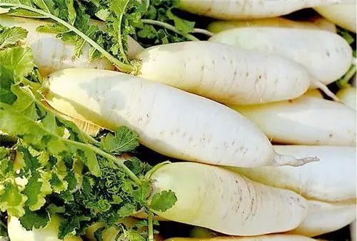 玉米，是胃炎的“催化剂”吗？医生：养胃，少碰4果，多吃6物