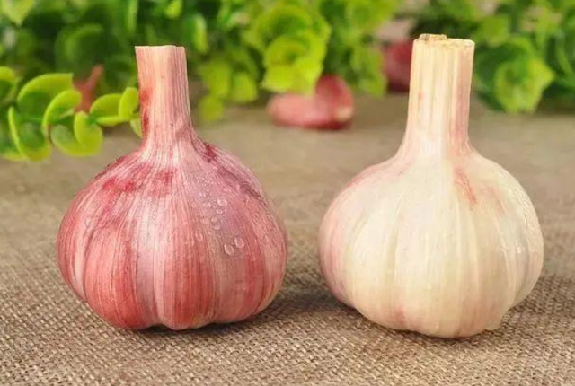 8大“健康食品”公布，大蒜入榜，医生建议：为了健康要多吃