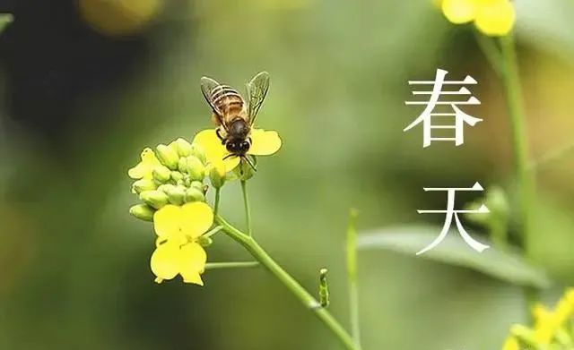 春天容易口干舌燥，记得多吃“4菜3果”，营养又健康，舒服过春天