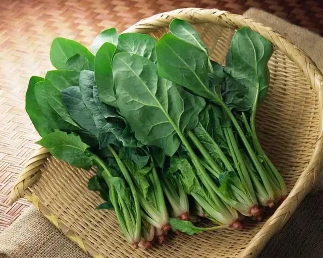 韭菜，是胃病的“发物”吗？医生：春季养胃，4菜建议撤下饭桌