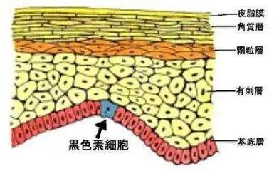 脚后跟经常“干裂”？或许与这4个因素有关，尽量不要忽视
