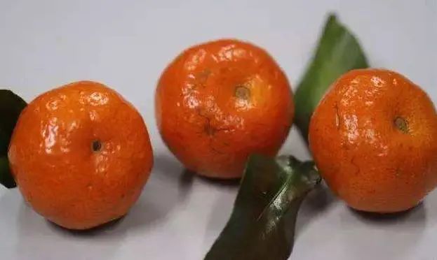 “白血病”专挑孩子下手吗？医生：这3种水果，家长尽量别再买了
