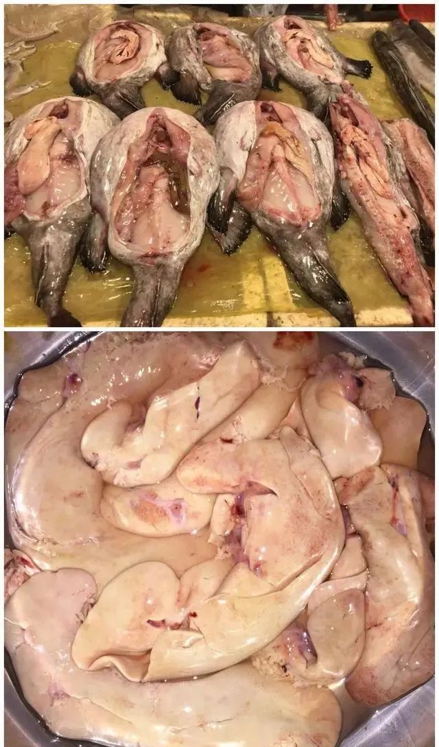 春季吃鱼，这5种鱼都是野生海鱼，不能人工养殖，遇到可别错过