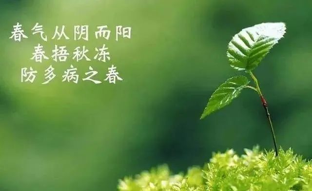 早春乍暖还寒，提醒女性“多吃4样忌1事”，滋养女人，素颜也好看