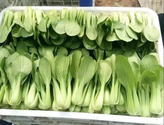 4种春季要少吃的新鲜蔬菜，菜农说自己也不吃，知道后别再买了