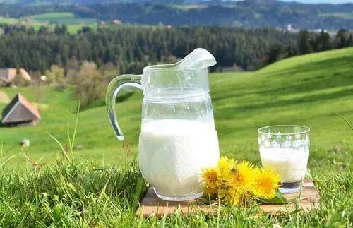 牛奶全是防腐剂，不仅有毒还致癌？医生：四种“假牛奶”趁早拉黑