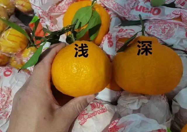 买丑橘，挑大挑小都不对，老果农：牢记4点，入口化渣一挑一个甜