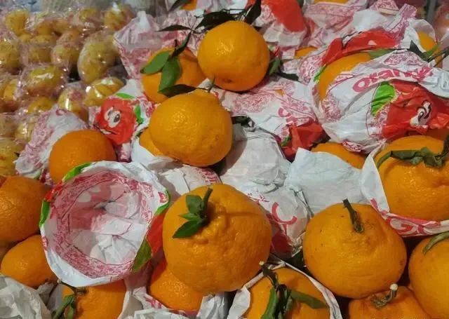 买丑橘，挑大挑小都不对，老果农：牢记4点，入口化渣一挑一个甜