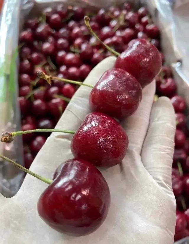 初春，这5种反季节“激素”水果要少买，果贩子：从来不让家人吃