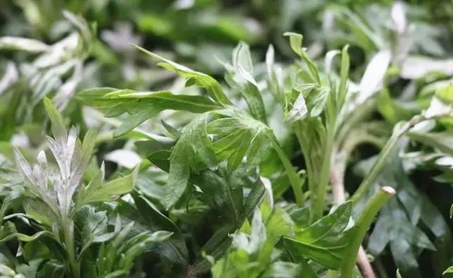 6种自带“毒素”的蔬菜，焯水后才能吃，为了家人的健康，别省事