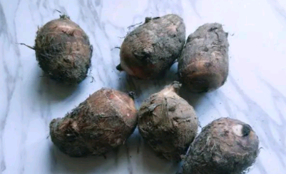 上了年纪之后，建议女性多吃这菜，营养不比牛奶差，常吃皮肤好