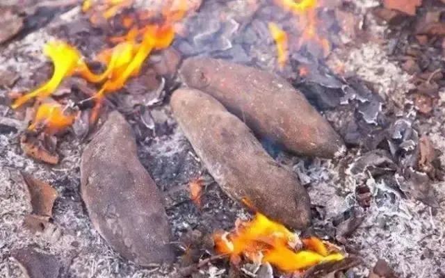 红薯到底是抗癌还是致癌？能降低血糖吗？医生告诉你答案
