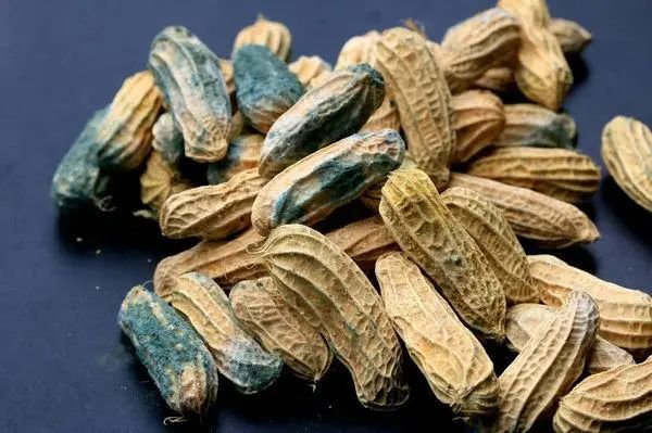 “一级致癌物”公布，世卫组织呼吁尽量少食用，看完请转告父母