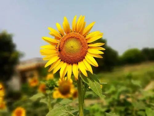 “老得慢”的女性，多有7个共同点，不想被叫黄脸婆，建议效仿