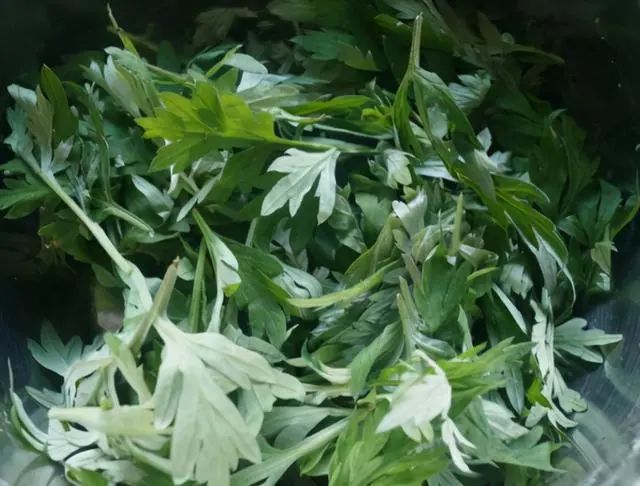 清明前后，要抓紧吃这菜，用来煮鸡蛋汤，女人体寒可时常多吃