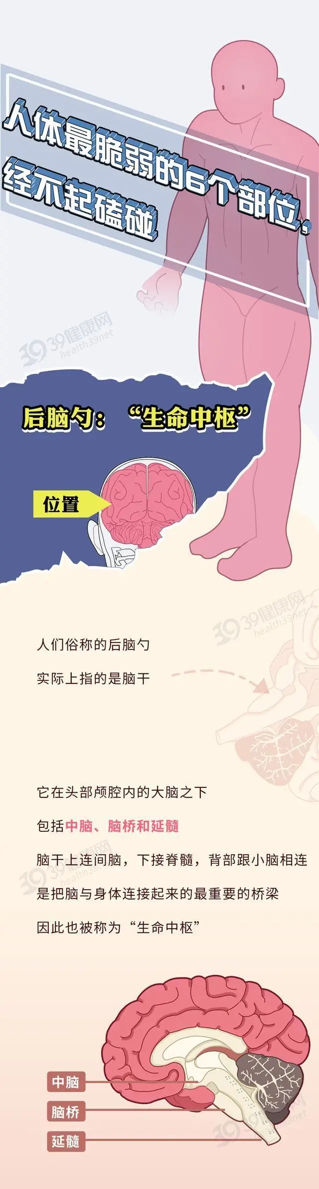 身上哪些部位不能“乱碰”？送您一份防护指南，可要收好了