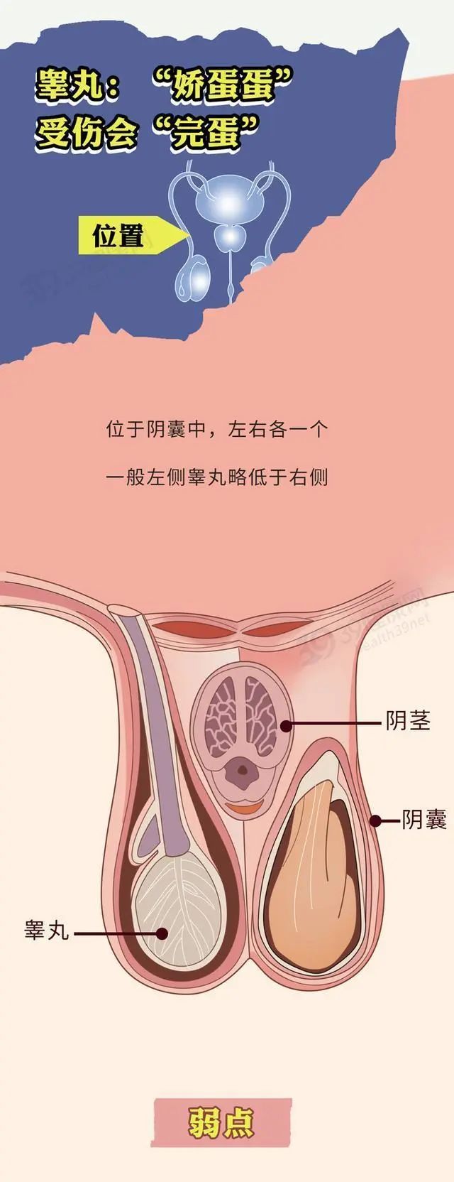 身上哪些部位不能“乱碰”？送您一份防护指南，可要收好了