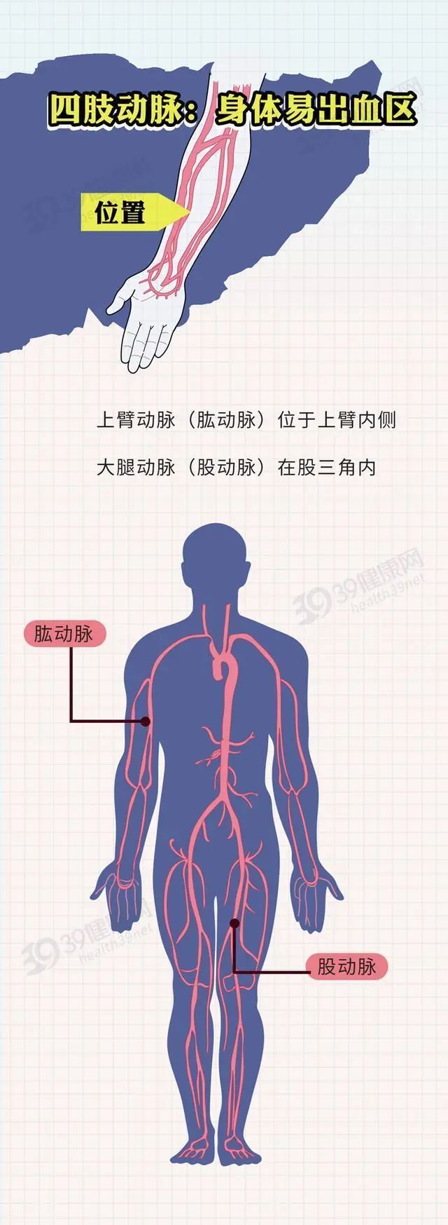 身上哪些部位不能“乱碰”？送您一份防护指南，可要收好了