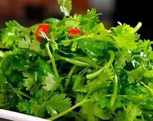 猪肉能在冰箱里存放多长时间？医生：若超出这个时间，尽量扔掉