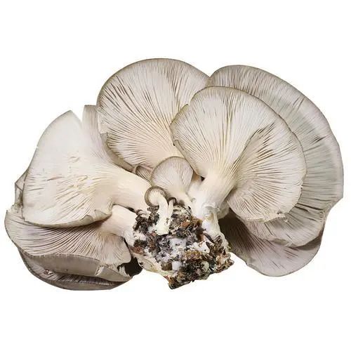 为什么这4种食物不可二次加热？不妨了解一下，吃不完要倒干净