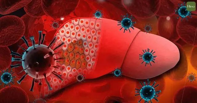 肝不好不能吃核桃吗？医生：若想肝功强壮，少吃“2白1黄”