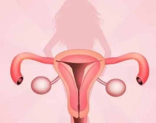 子宫或不欢迎这5种水果，医生劝告：女性要少吃，不妨来了解一下