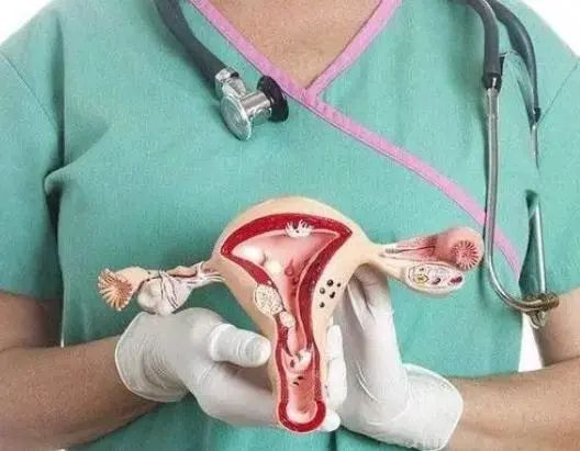 子宫或不欢迎这5种水果，医生劝告：女性要少吃，不妨来了解一下