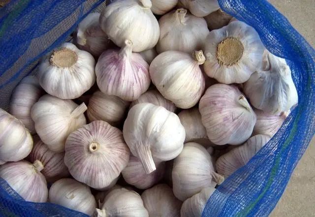 糖尿病，不能吃“大蒜”吗？医生：控血糖，2种调味料应少碰