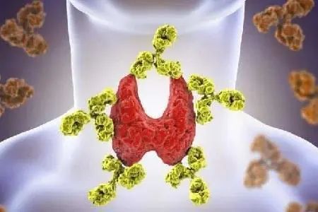 常喝小米粥可以呵护甲状腺？医生：想甲功稳定，两种粗粮少吃为好
