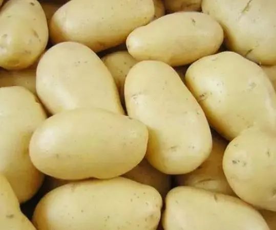 92岁陈院士研究血脂50余年，提醒：除肉类外，三种蔬菜要少吃