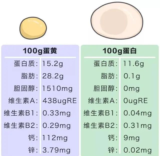 被冤枉的鸡蛋黄告诉你：一天最多可以吃几个鸡蛋？看完涨知识