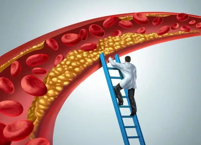 被冤枉的鸡蛋黄告诉你：一天最多可以吃几个鸡蛋？看完涨知识