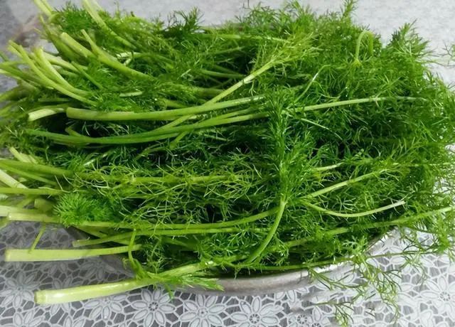 吃花生对血管有帮助吗？医生：若不想血管堵塞，3种素食尽量远离