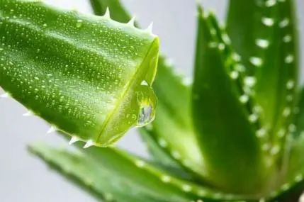 多走路可以降血脂吗？医生：多吃6种食物，或比走路效果好