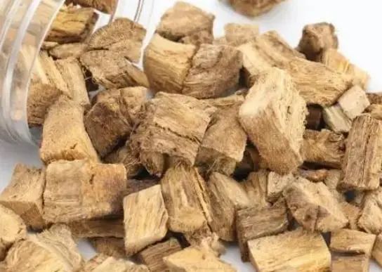 “车前草”是个宝，用它来泡水喝，或能帮助解决这6个问题