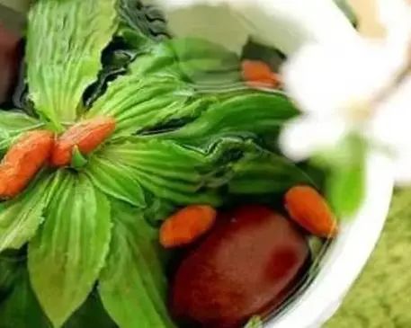 “车前草”是个宝，用它来泡水喝，或能帮助解决这6个问题