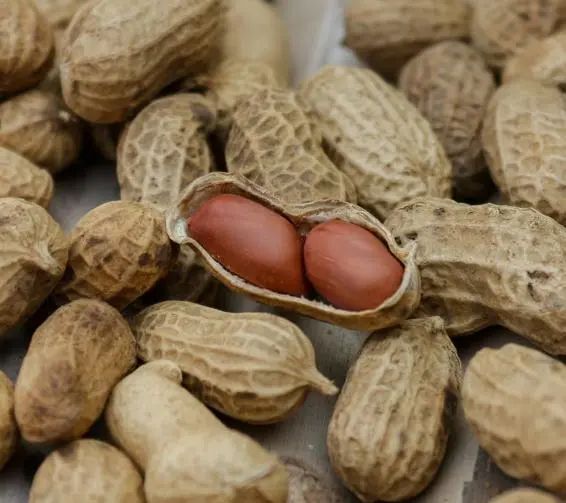 喝酒时为啥不能碰花生米？医生：喝酒尽量少吃这5种“下酒菜”