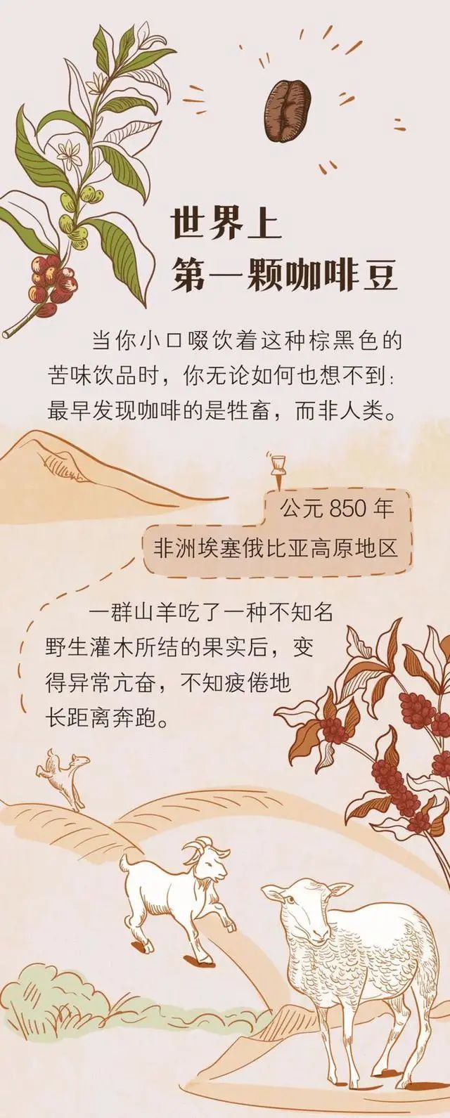 长期喝咖啡的人，身体到底有多“强”？看完就明白了