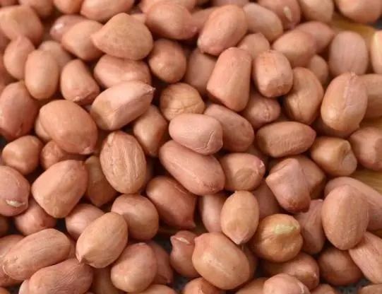 经常吃花生，到底是升血压还降血压？医生：4种食物或可多吃