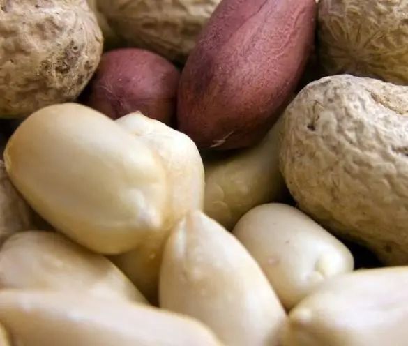 经常吃花生，到底是升血压还降血压？医生：4种食物或可多吃