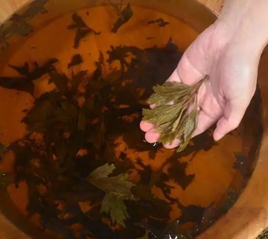 艾叶泡脚，效果虽好，但这4类人不适合，建议了解