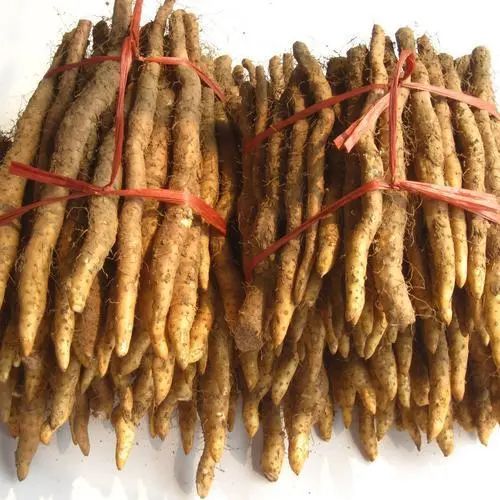 提醒：生活中常见的这五个野菜，或要少吃，建议别再当成宝
