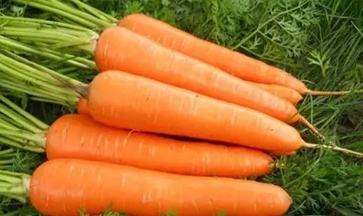 “老得慢”的女人多半爱吃9种食物，看有没有你喜欢吃的？