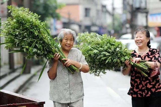 中药变“毒药”，几个小时可发作？医生：这5种中药没病别乱吃